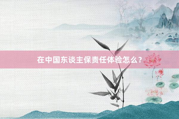 在中国东谈主保责任体验怎么？